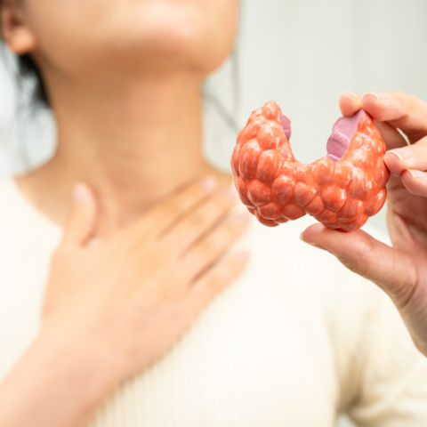 Endocrino & Hormonal